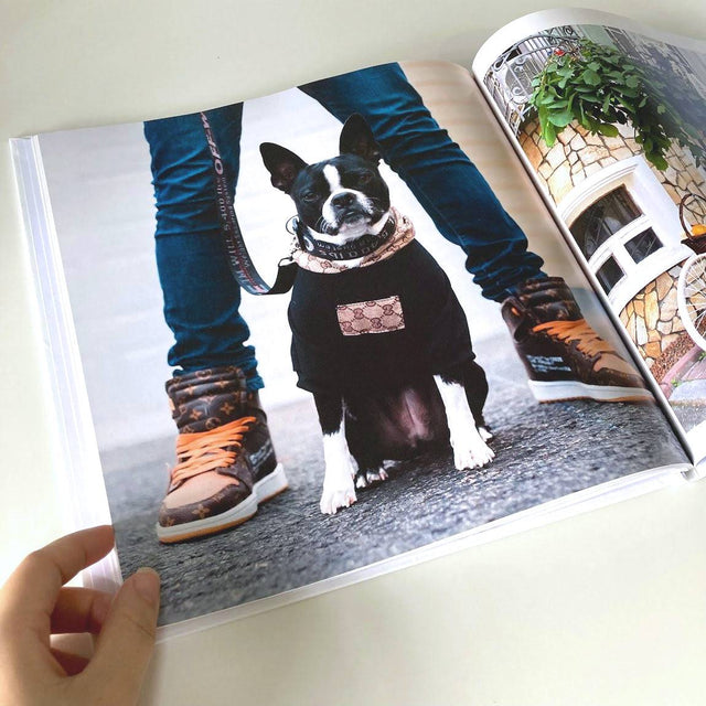 Giant Square Books - Helluva Photo