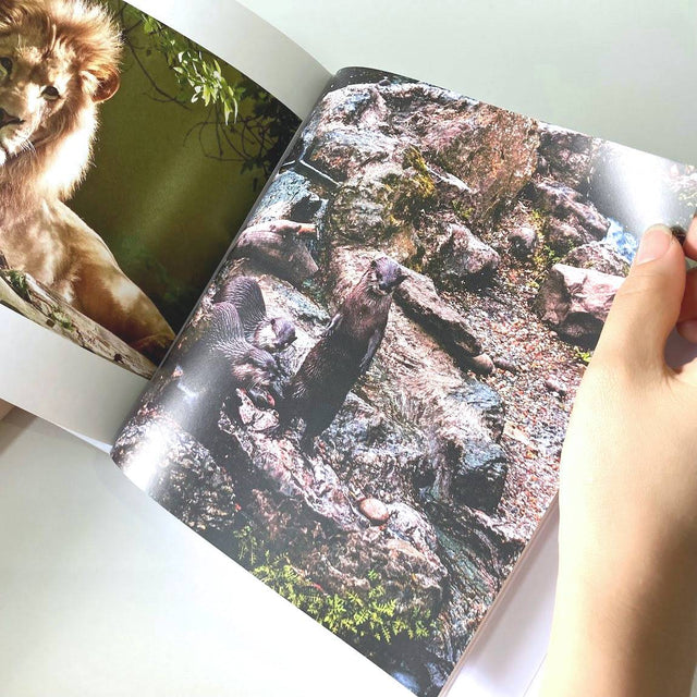 Large Square Photo Books - Helluva Photo